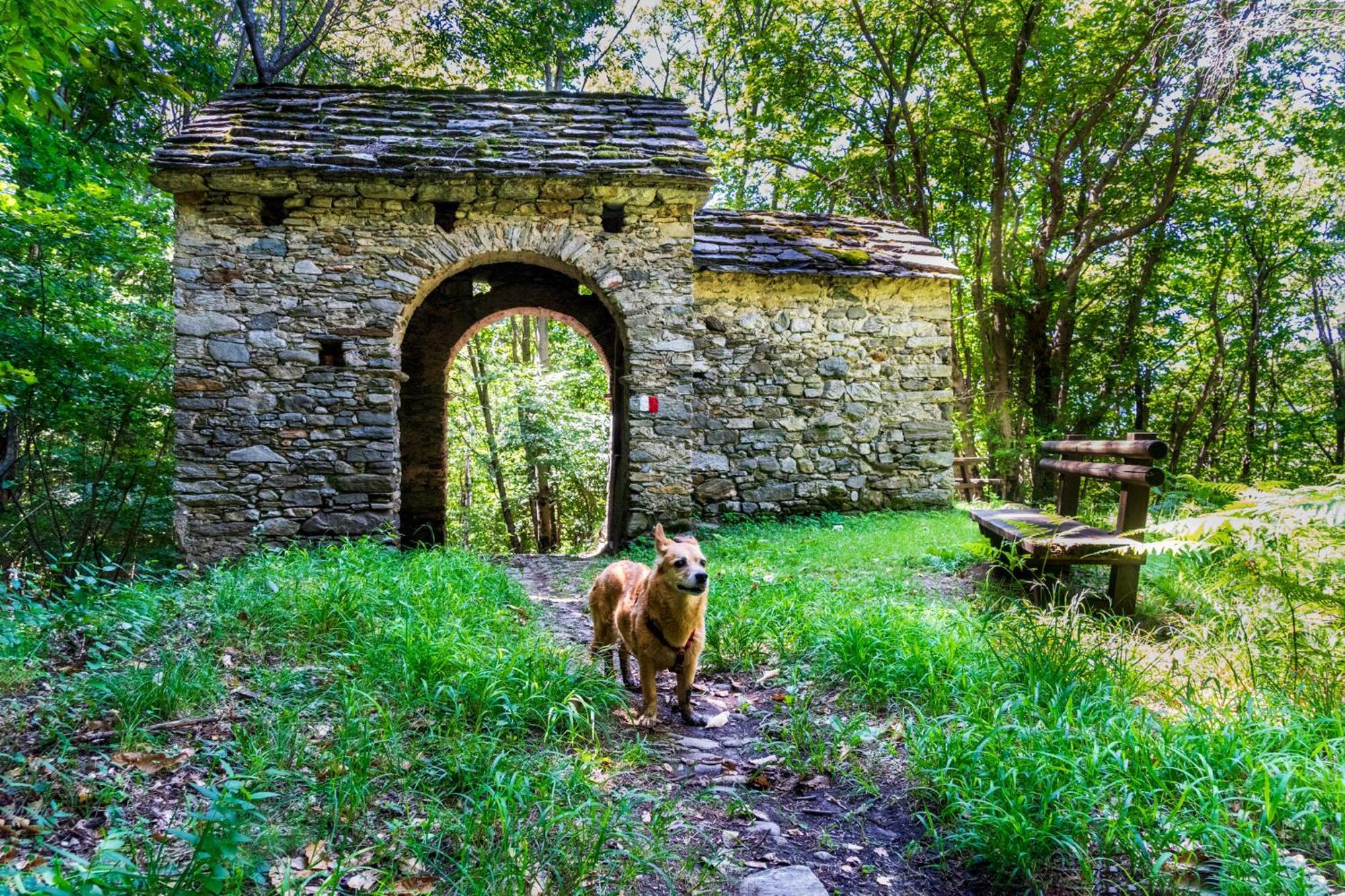 Casa Del Borgo "Aria & Acqua" Sul Lago Maggiore Maccagno Exterior foto