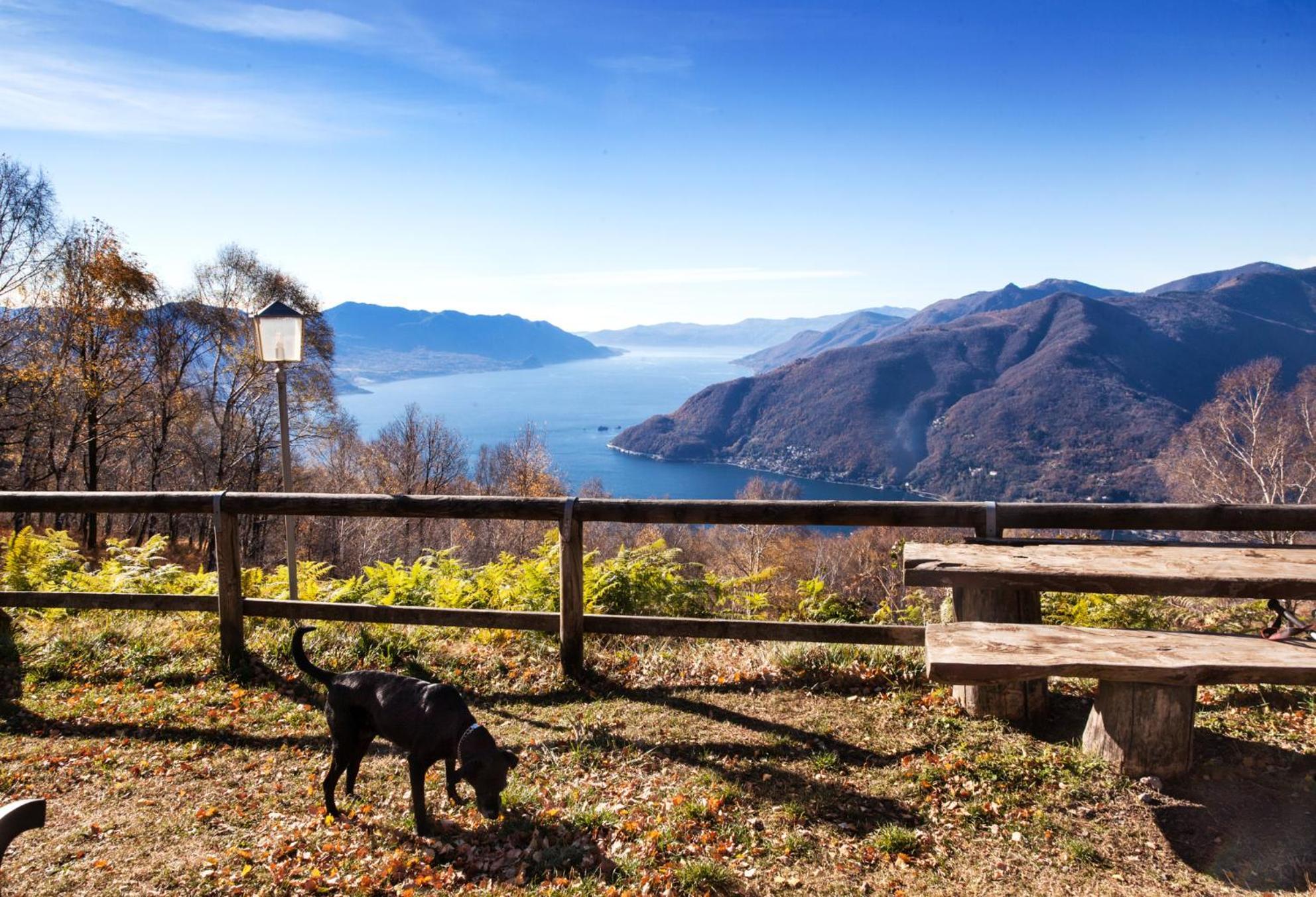 Casa Del Borgo "Aria & Acqua" Sul Lago Maggiore Maccagno Exterior foto